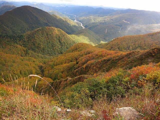 f0003138_1117387.jpg