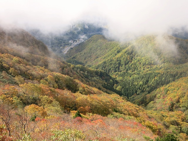 f0003138_1125842.jpg