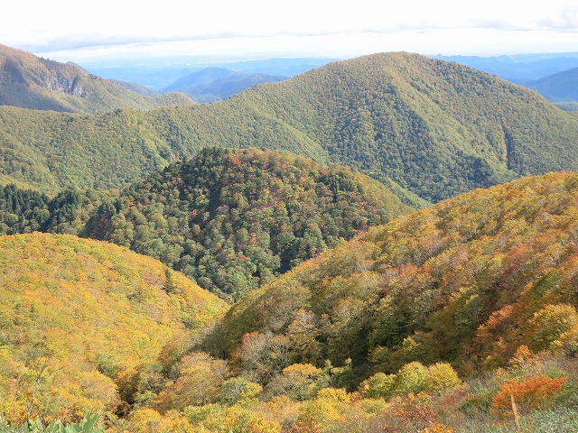 f0003138_1143129.jpg