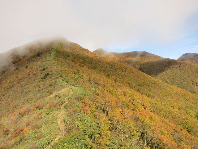f0003138_1153117.jpg