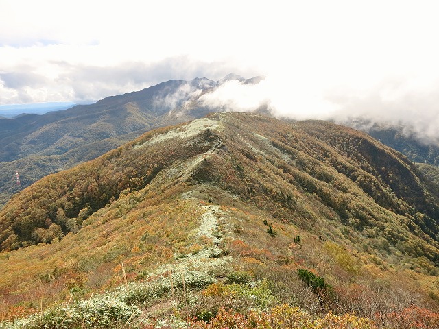 f0003138_1162578.jpg
