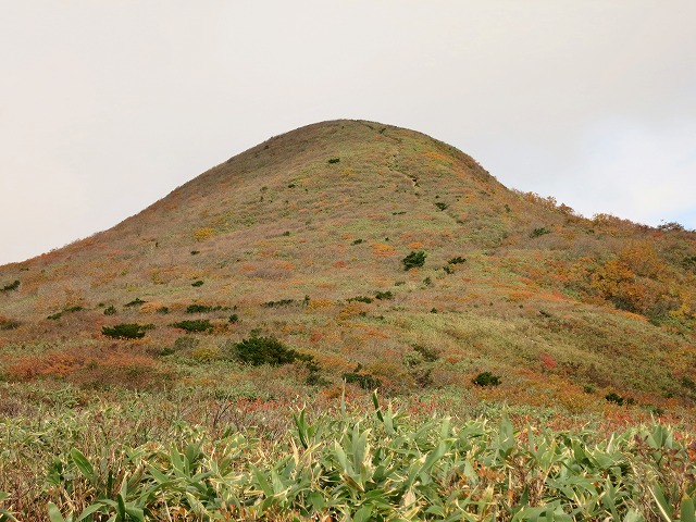 f0003138_1181845.jpg