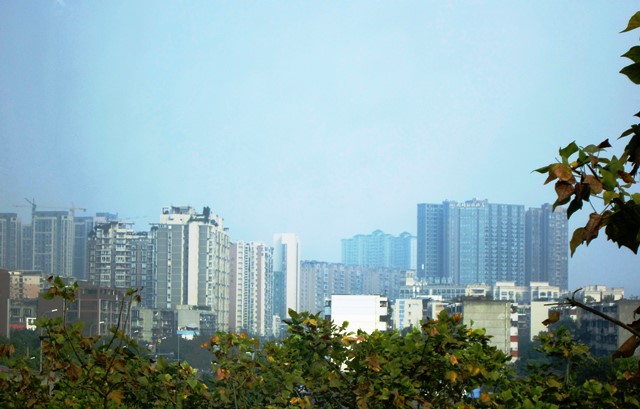 b0289649_19481855.jpg