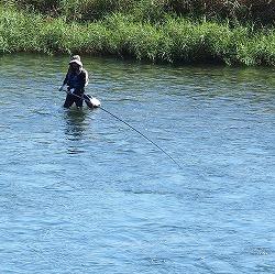 c0171349_1265538.jpg