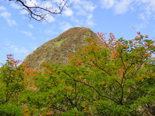 c0179351_1745425.jpg