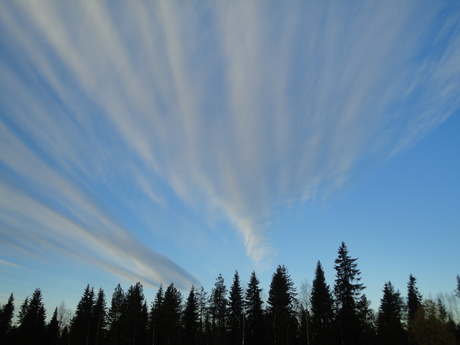 b0210754_18142724.jpg