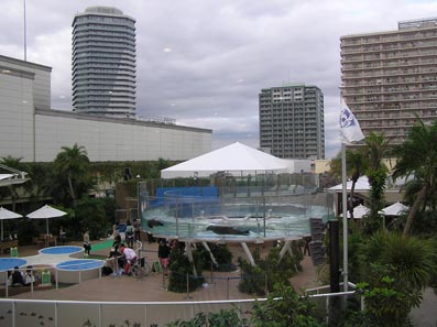 b0059664_17384333.jpg