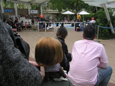 b0059664_17385129.jpg