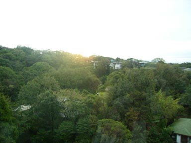 a0055866_1543270.jpg