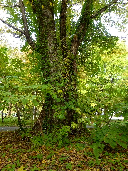 d0084473_2033410.jpg