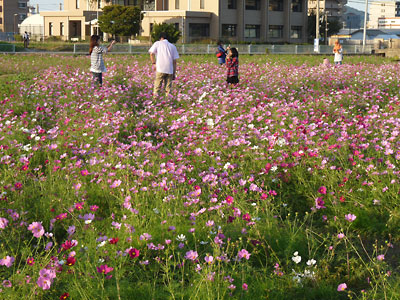 c0152779_1031833.jpg