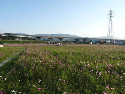 c0152779_103324.jpg