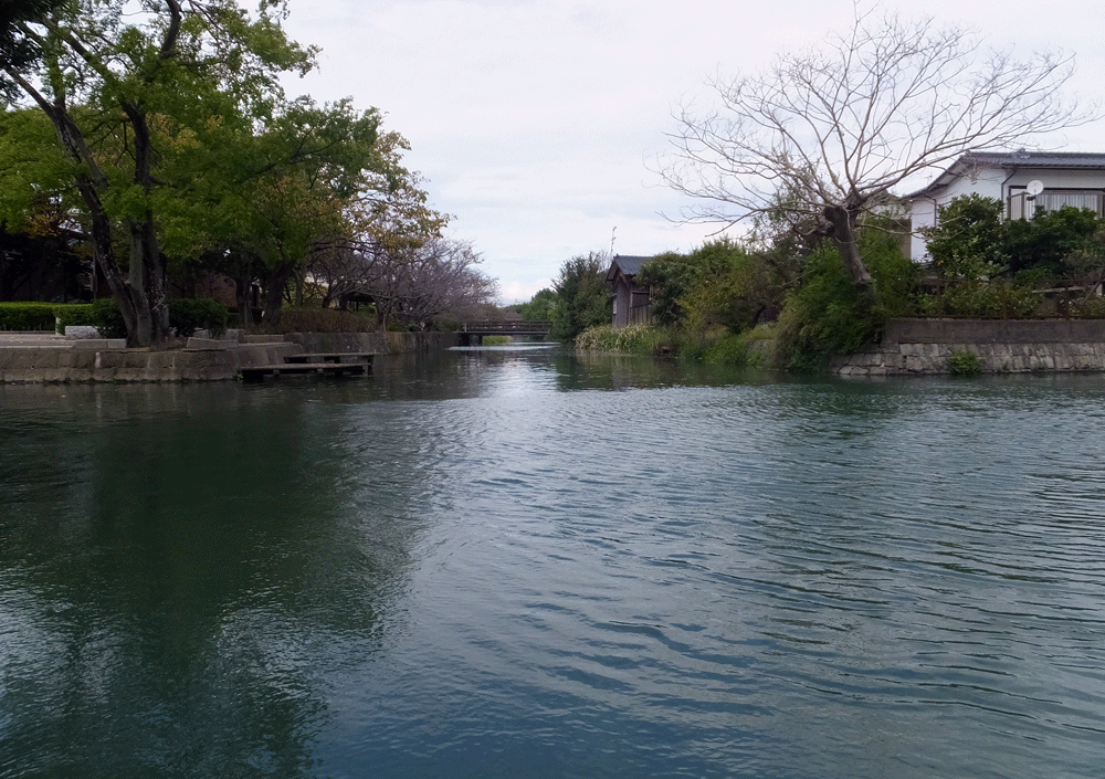 b0159780_9445685.gif