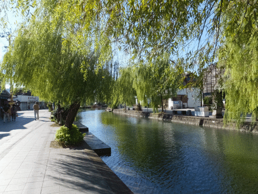 b0159780_946933.gif