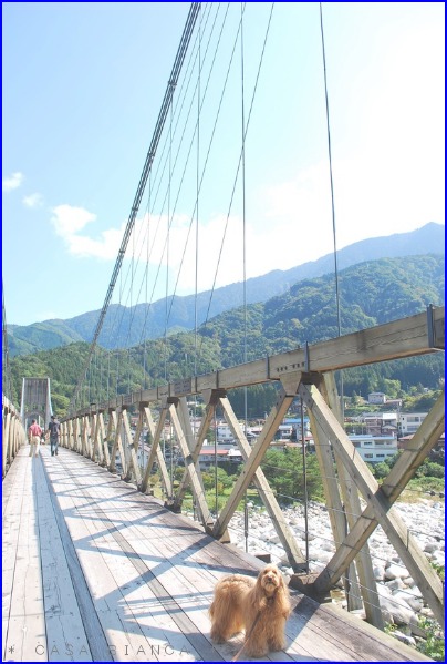 f0272880_19101325.jpg