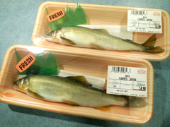 c0063182_1132472.jpg