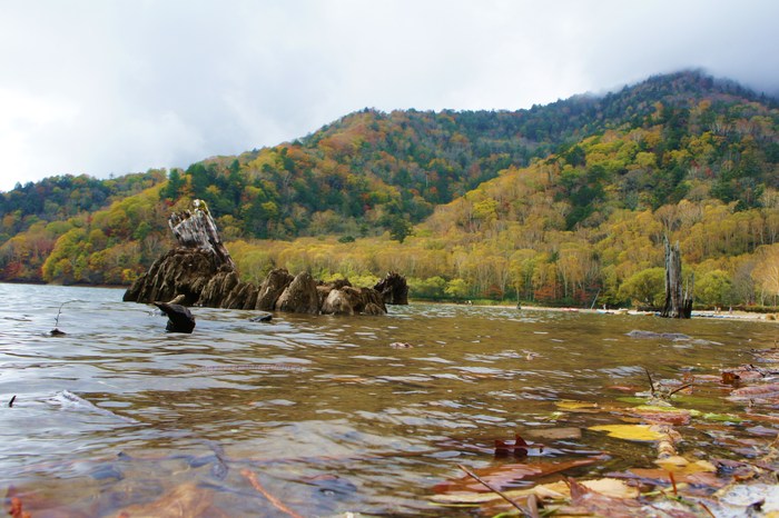 c0136486_1274273.jpg
