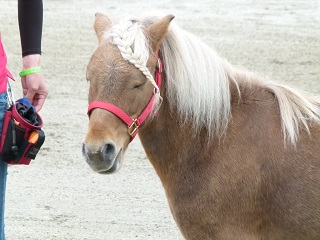 a0161290_16434992.jpg