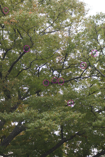 c0139591_0322575.jpg