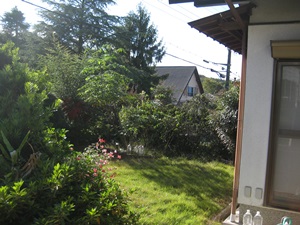 d0240201_14371071.jpg
