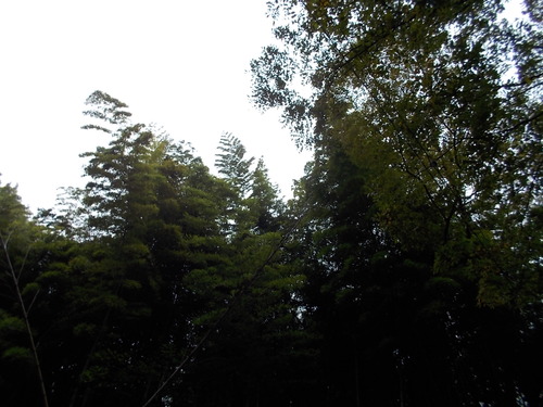 b0277505_215438.jpg