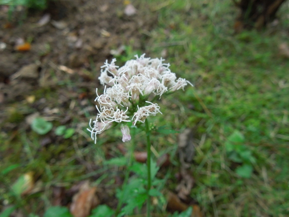 f0297809_21301894.jpg