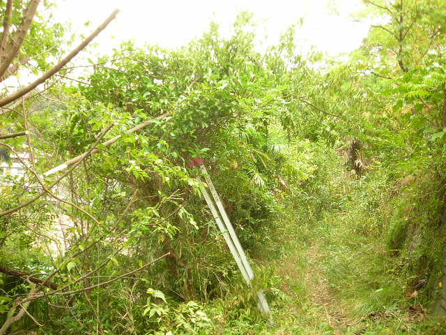 b0096418_14395935.jpg