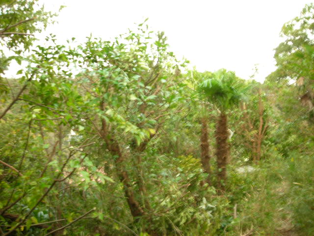 b0096418_14411928.jpg