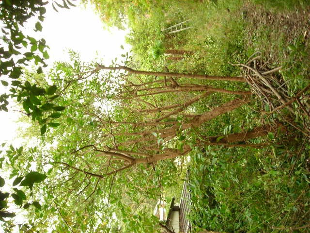 b0096418_1443355.jpg