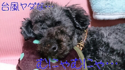 b0236618_1243696.jpg