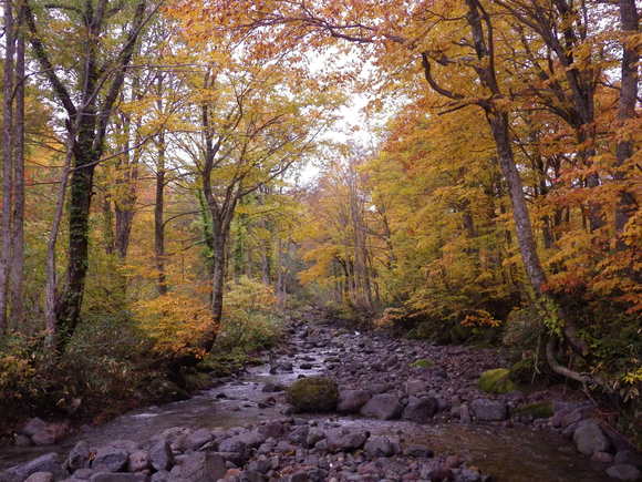 f0118332_237355.jpg