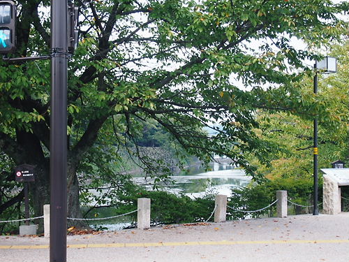 e0022839_2564358.jpg