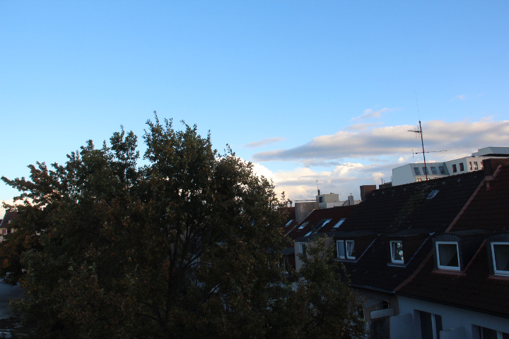 c0153740_034383.jpg