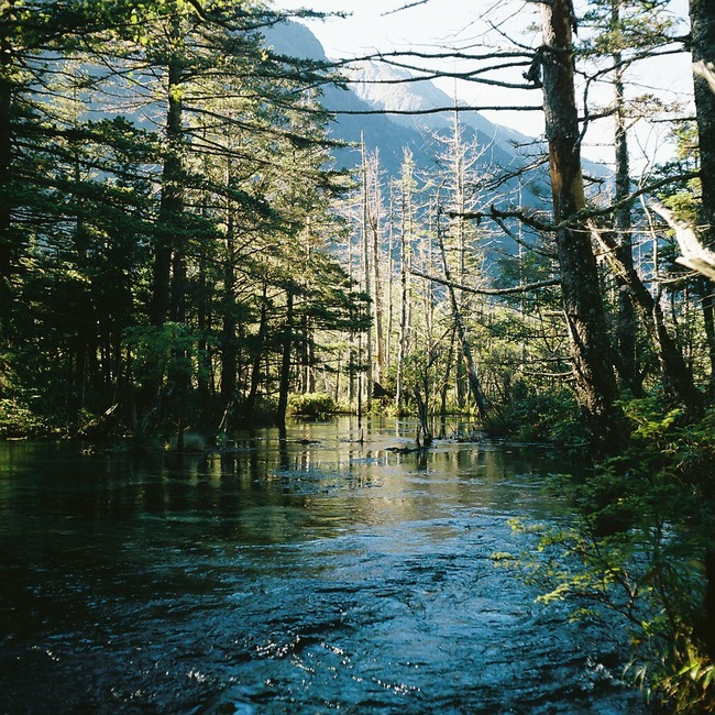e0262941_2143662.jpg
