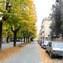 b0277645_17391961.jpg