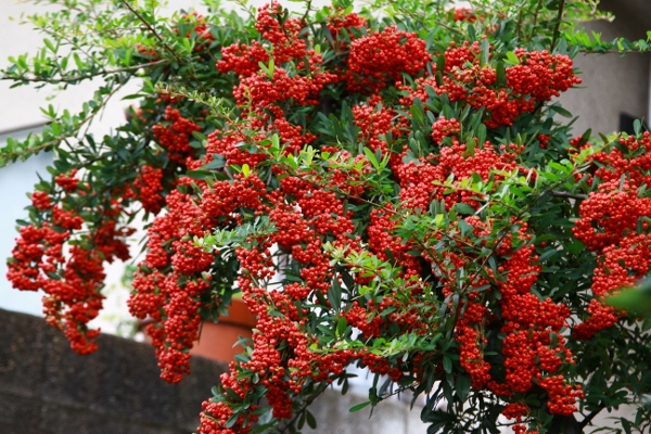a0120949_6203828.jpg
