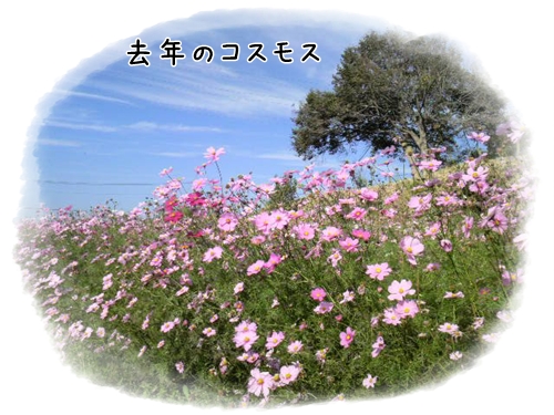 d0013149_232241100.jpg