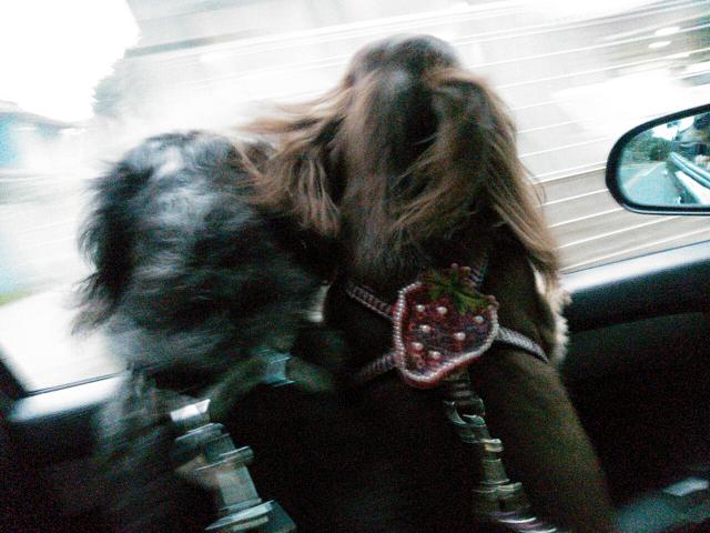 c0145750_11503017.jpg