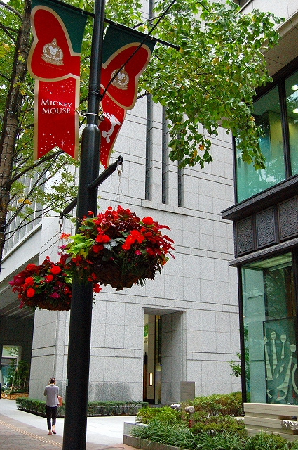 e0025655_5562459.jpg