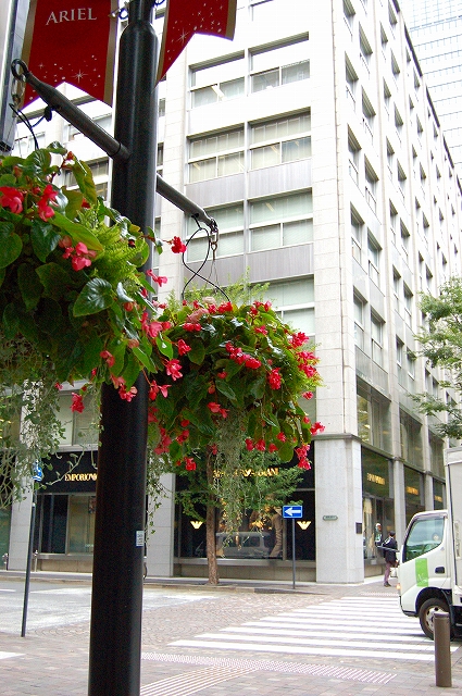 e0025655_5572779.jpg