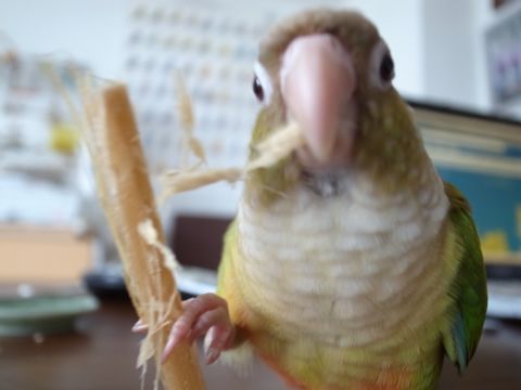 f0149057_16122252.jpg