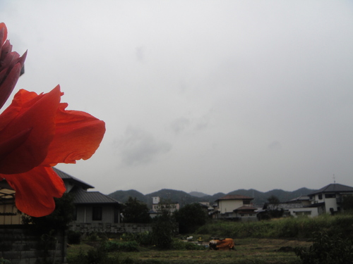 c0108460_17483778.jpg