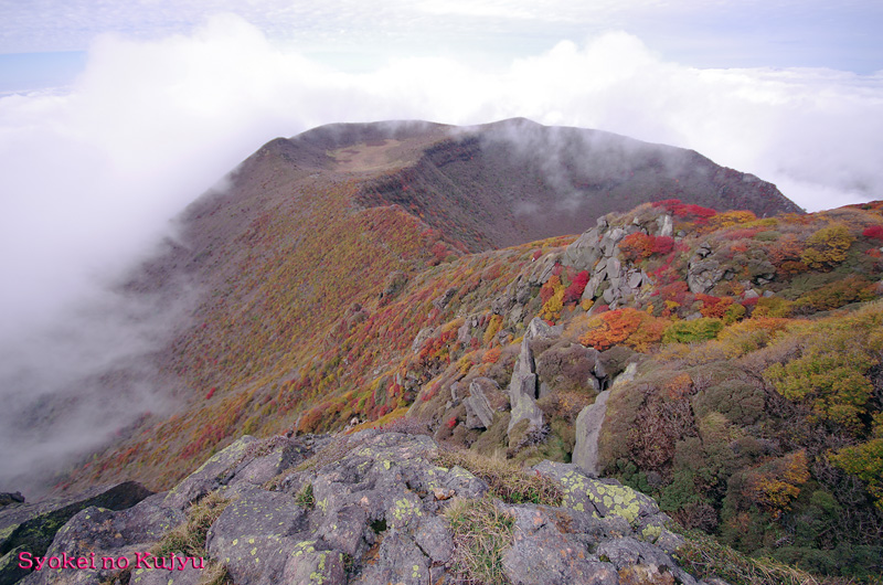 c0288262_15334192.jpg