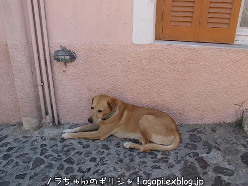 f0037264_359513.jpg