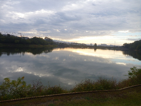 e0161972_8134184.jpg