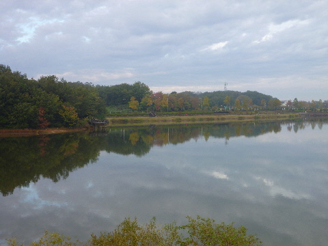 e0161972_8192221.jpg