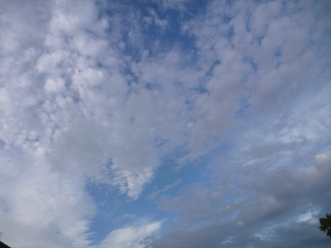 e0161972_8342442.jpg