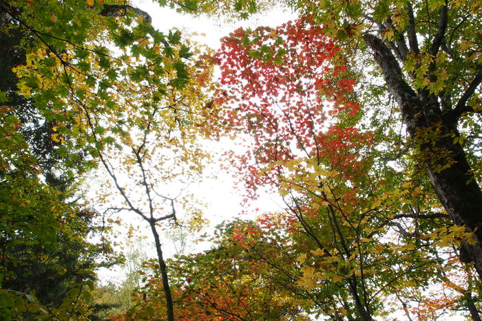 e0307372_23544019.jpg