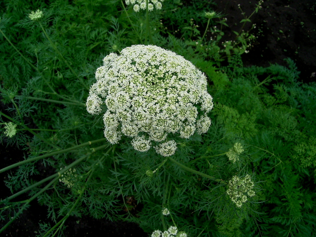 d0225575_14462526.jpg