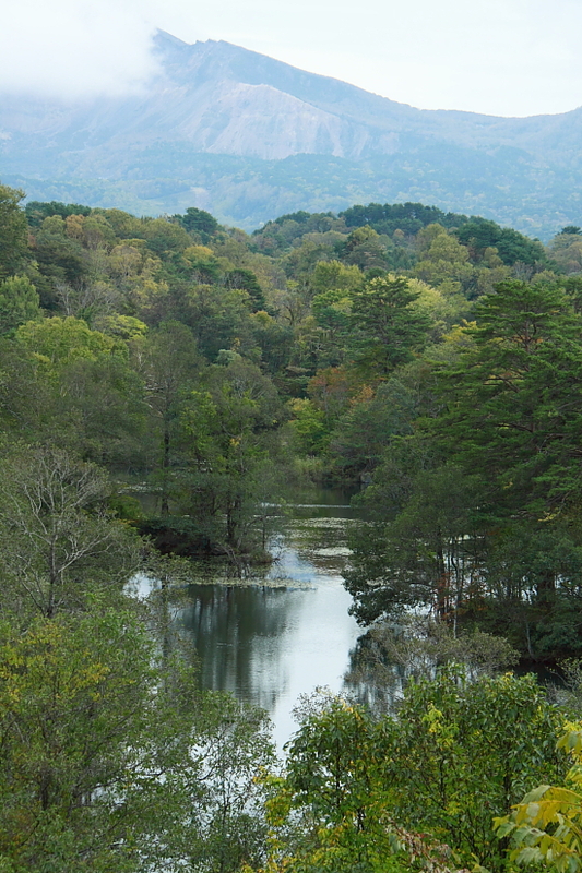 e0249878_0161949.jpg